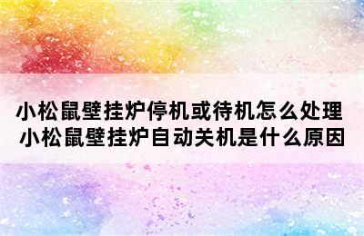 小松鼠壁挂炉停机或待机怎么处理 小松鼠壁挂炉自动关机是什么原因